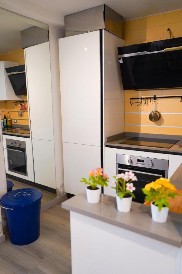 Loft 42 Apartment Pisa Bagian luar foto